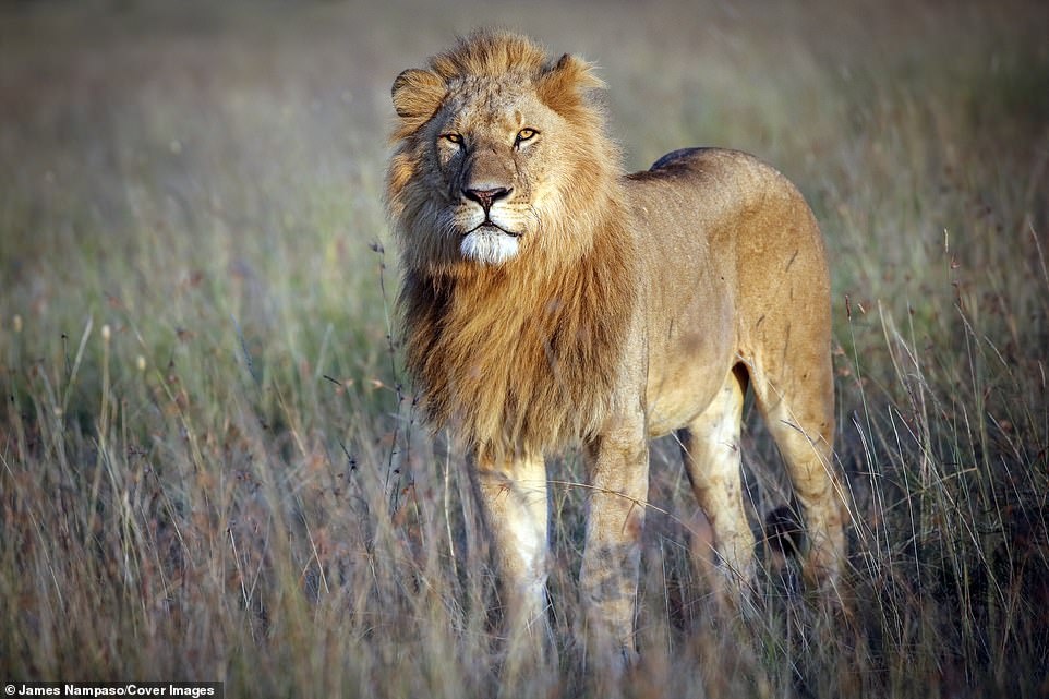 Cuoc song tan khoc tren thao nguyen anh 9