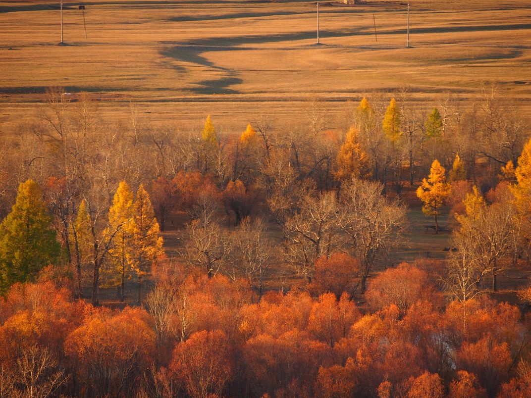 Mong Co mua thu anh 3