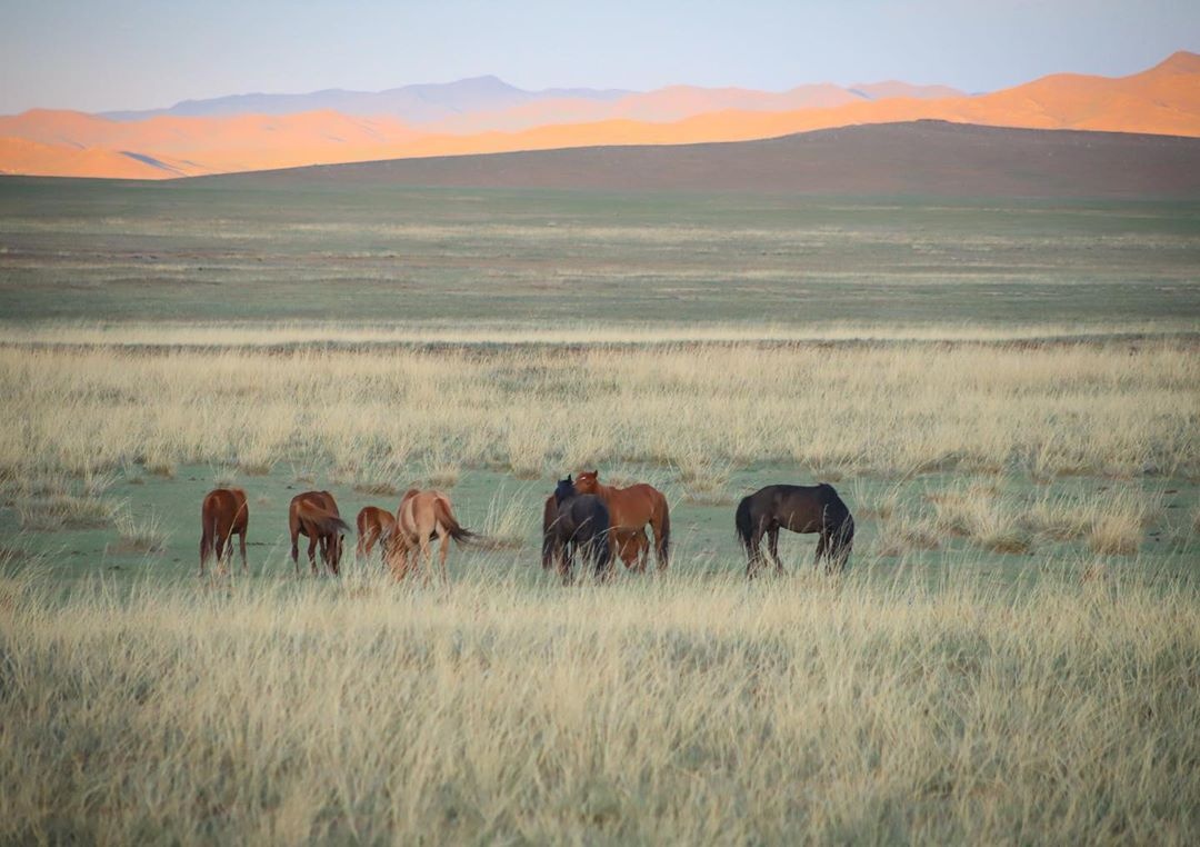 Mong Co mua thu anh 11