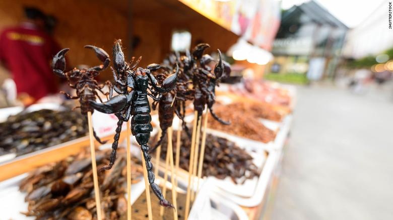 Thuc an tu con trung anh 12