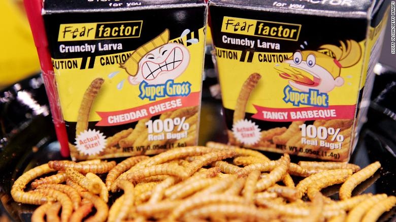 Thuc an tu con trung anh 3