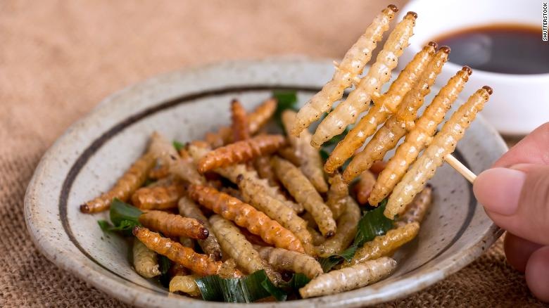 Thuc an tu con trung anh 5