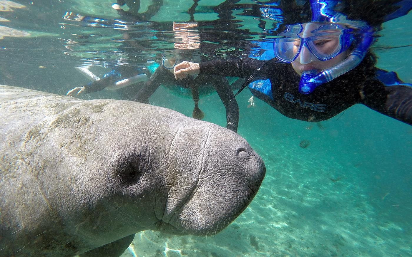 Cheo thuyen kayak xuyen dem cung dan bo bien hinh anh