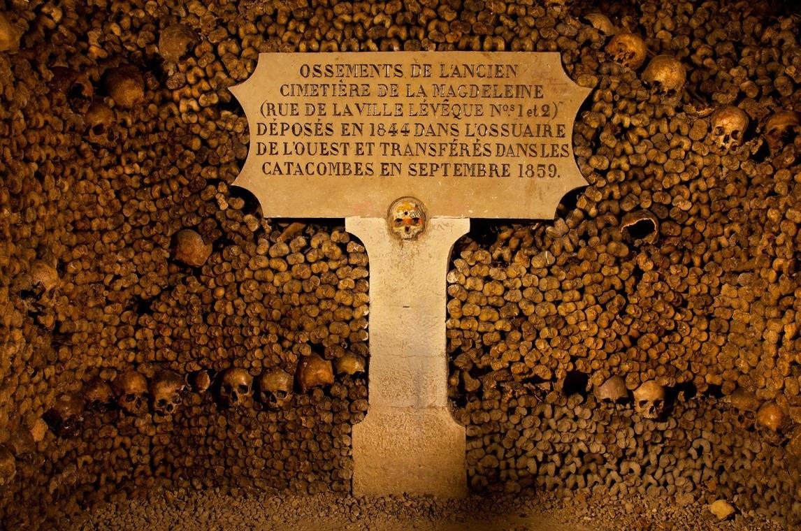 Ham mo chua hon 6 trieu bo hai cot duoi long Paris hinh anh