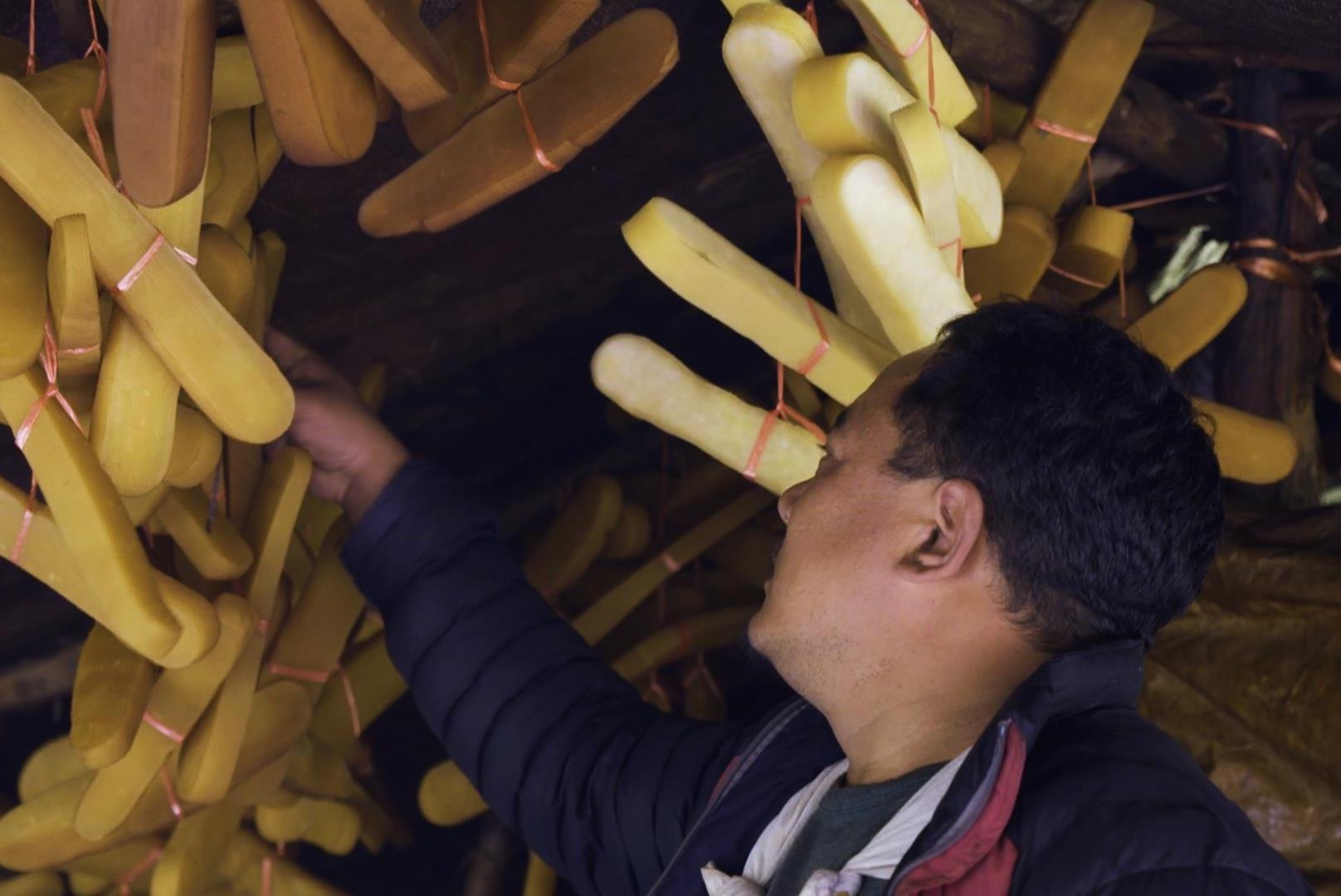 Cach tao ra loai pho mai cung nhat the gioi hinh anh