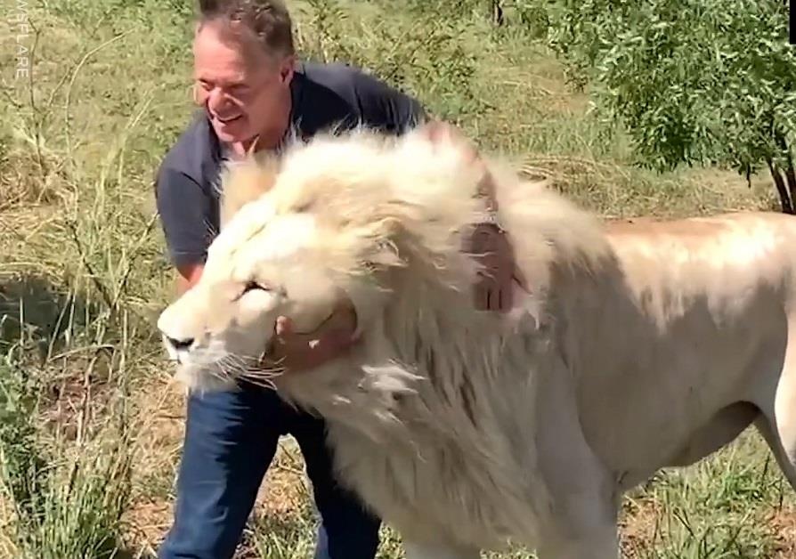 Gap go dan su tu trang quy hiem ngoai tu nhien hinh anh