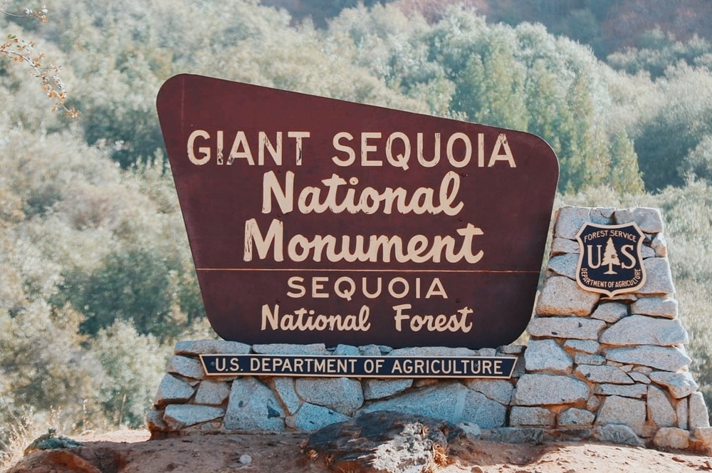 Khu rung khong lo o My anh 13