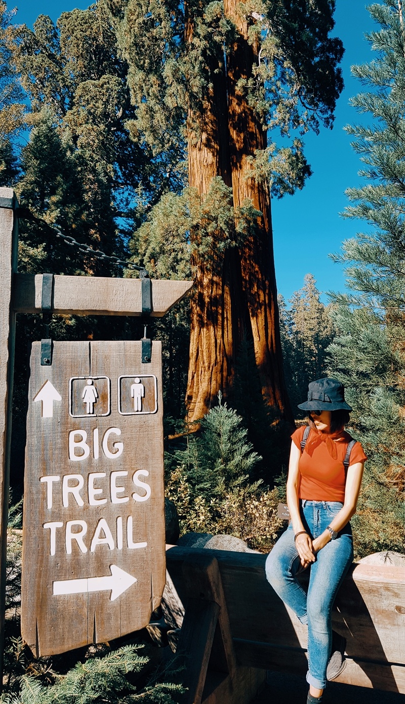 Khu rung khong lo o My anh 4