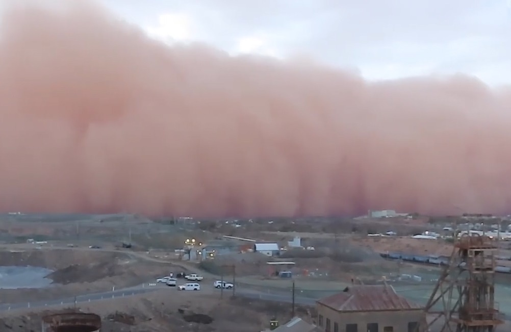 Con bao bui khong lo nuot chung thi tran o Australia hinh anh