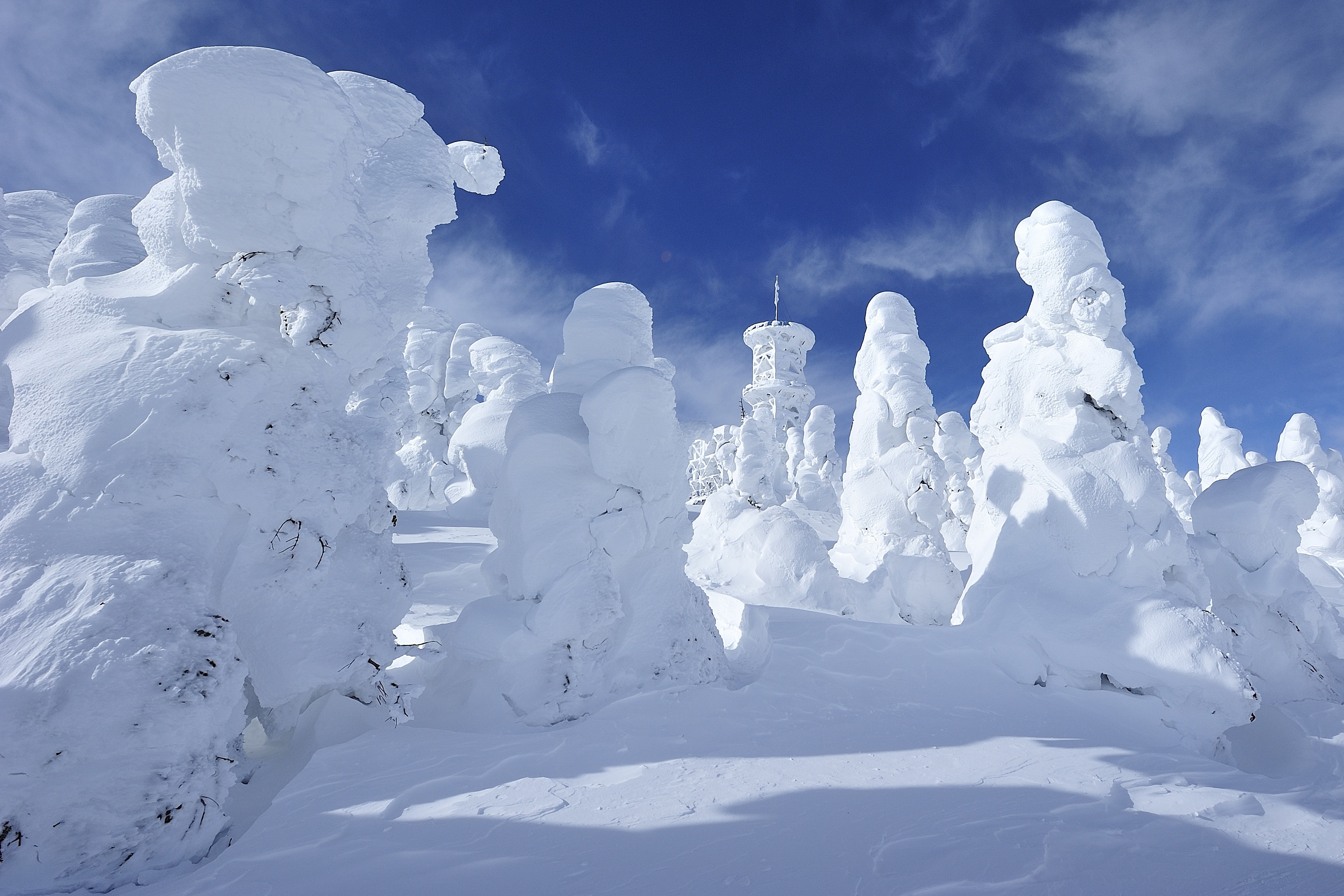 'Quai vat tuyet' phu kin ngoi lang o Nhat Ban hinh anh