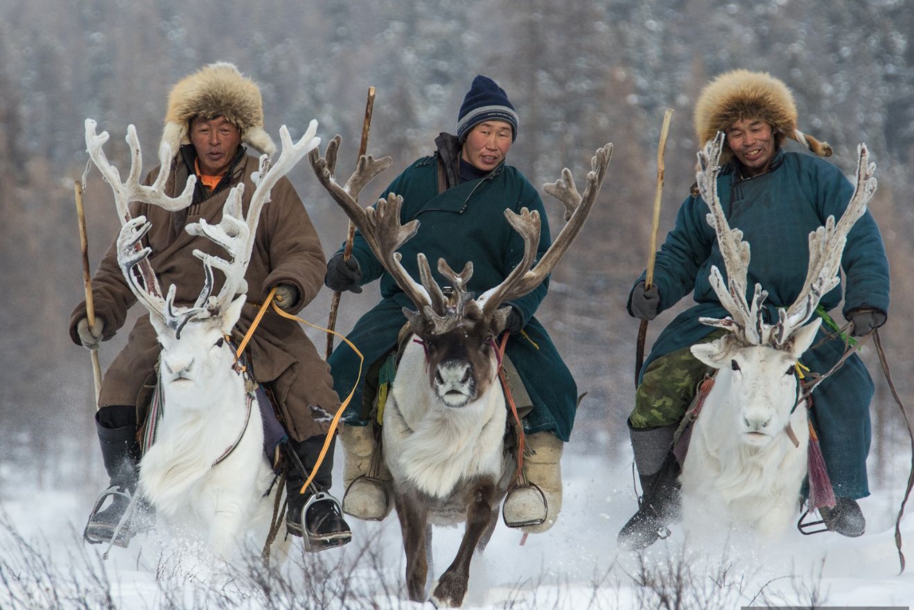 Nghe chan tuan loc chi co o Mong Co tuyet trang hinh anh