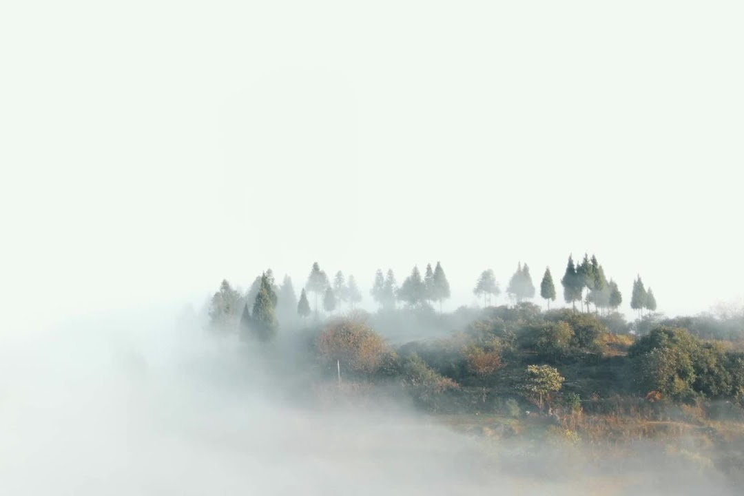Ngoi lang co duoc bao phu boi may va suong mu hinh anh
