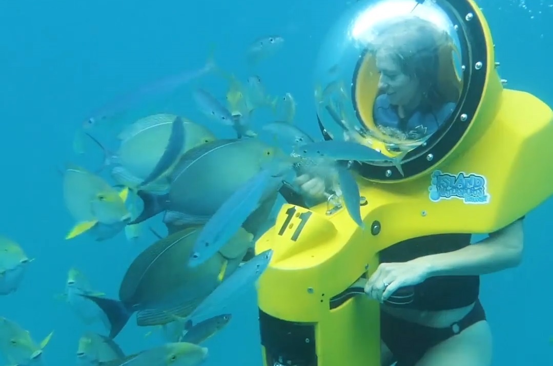 Xe tay ga dua du khach dao choi o day bien hinh anh