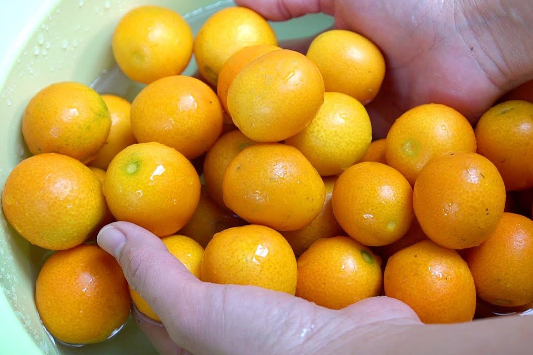 Tan dung quat lam mut cho nam moi hinh anh