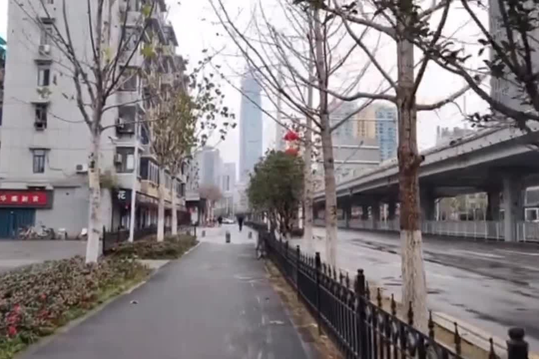 Vu Han tro thanh 'thi tran ma' ke tu dai dich viem phoi cap hinh anh