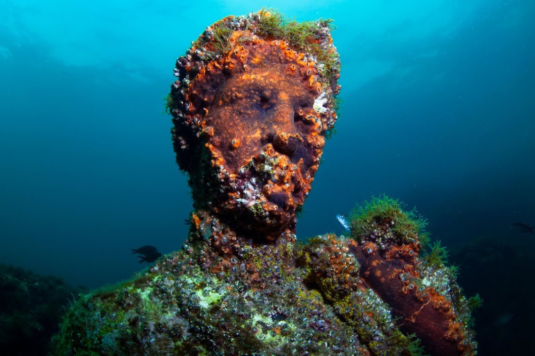 Thanh co La Ma chim sau o day bien hinh anh