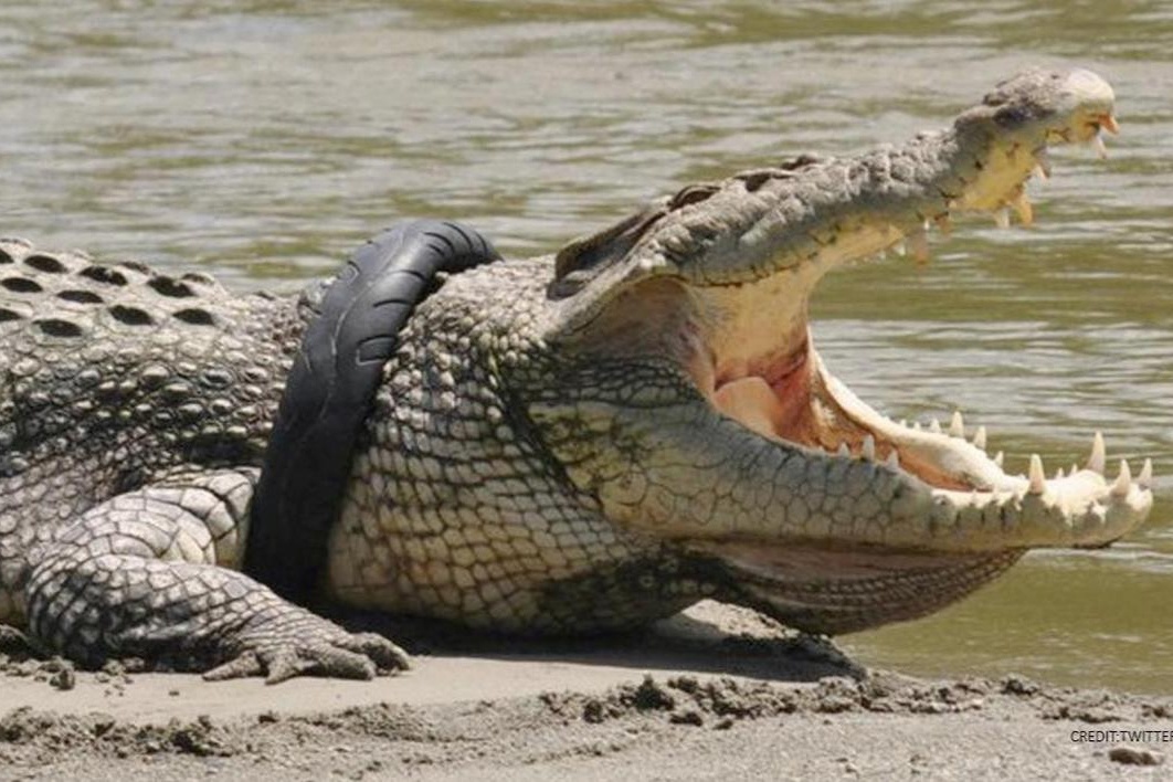 Indonesia treo thuong cho nguoi thao lop xe ra khoi ca sau hinh anh