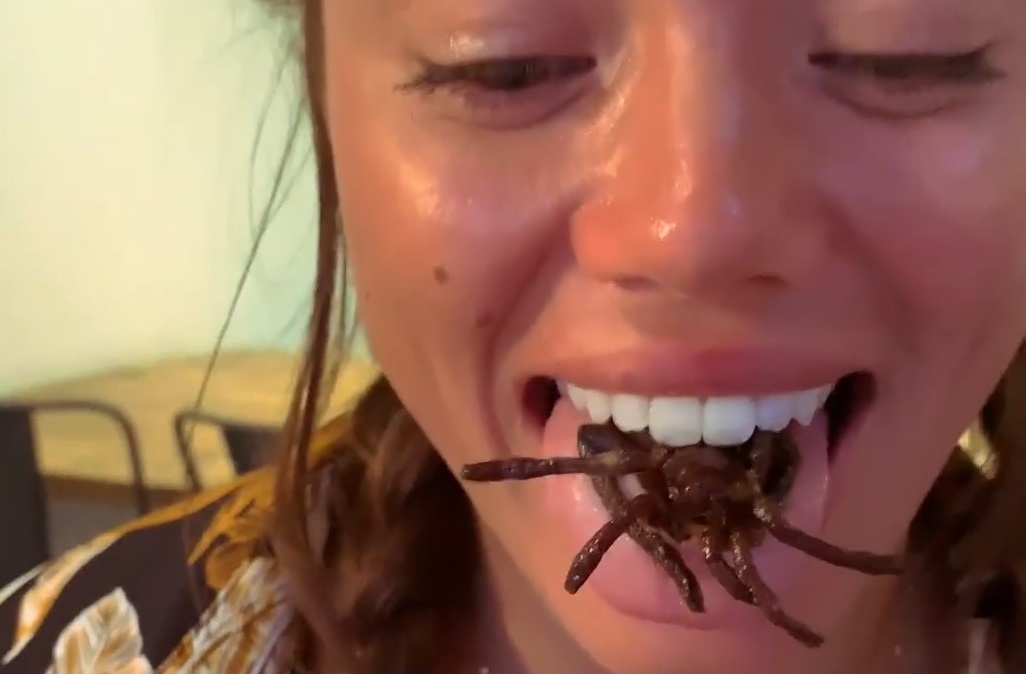 Quan phuc vu mon nhen tarantula va con trung hinh anh