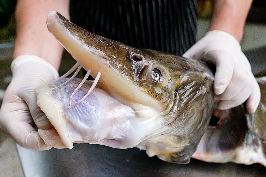 Dau bep day so che ca tam co hinh anh