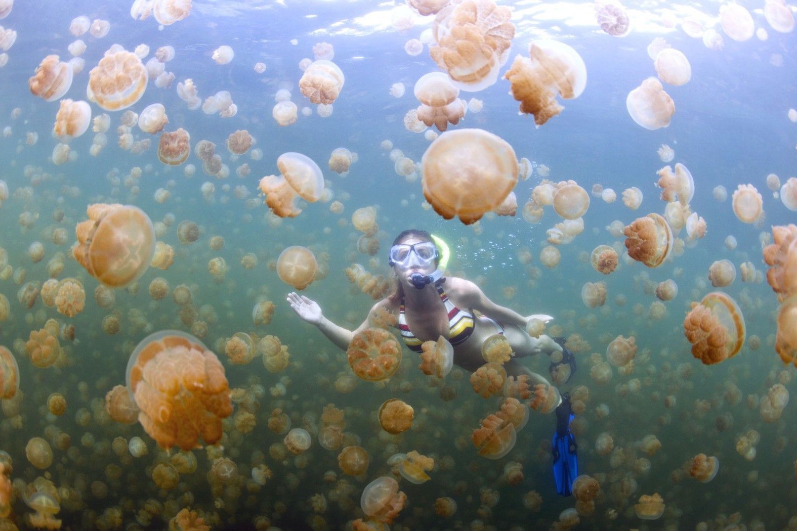 Ho nuoc co hang trieu con sua hinh anh