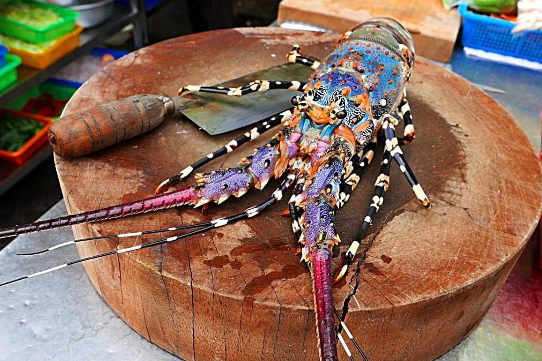 Cach so che tom hum bong de nau canh va nuong bo toi hinh anh