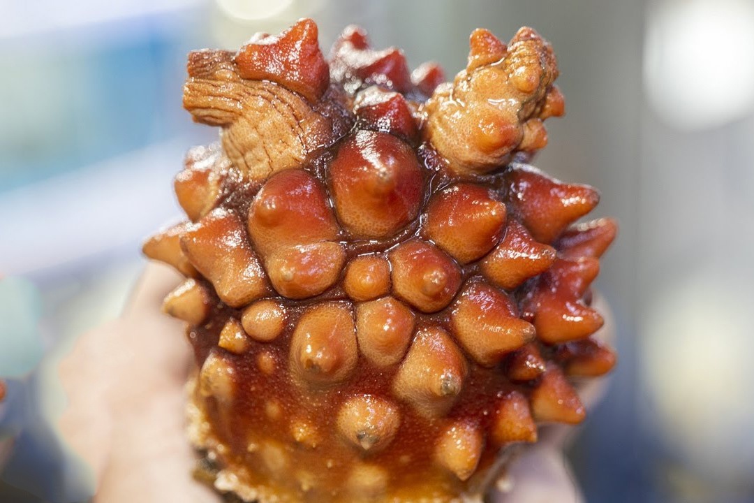 Thuong thuc hai tieu hinh dang ky la o cho do song hinh anh