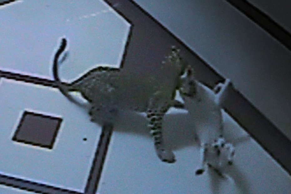 Bao lot vao thanh pho san cho nha hinh anh