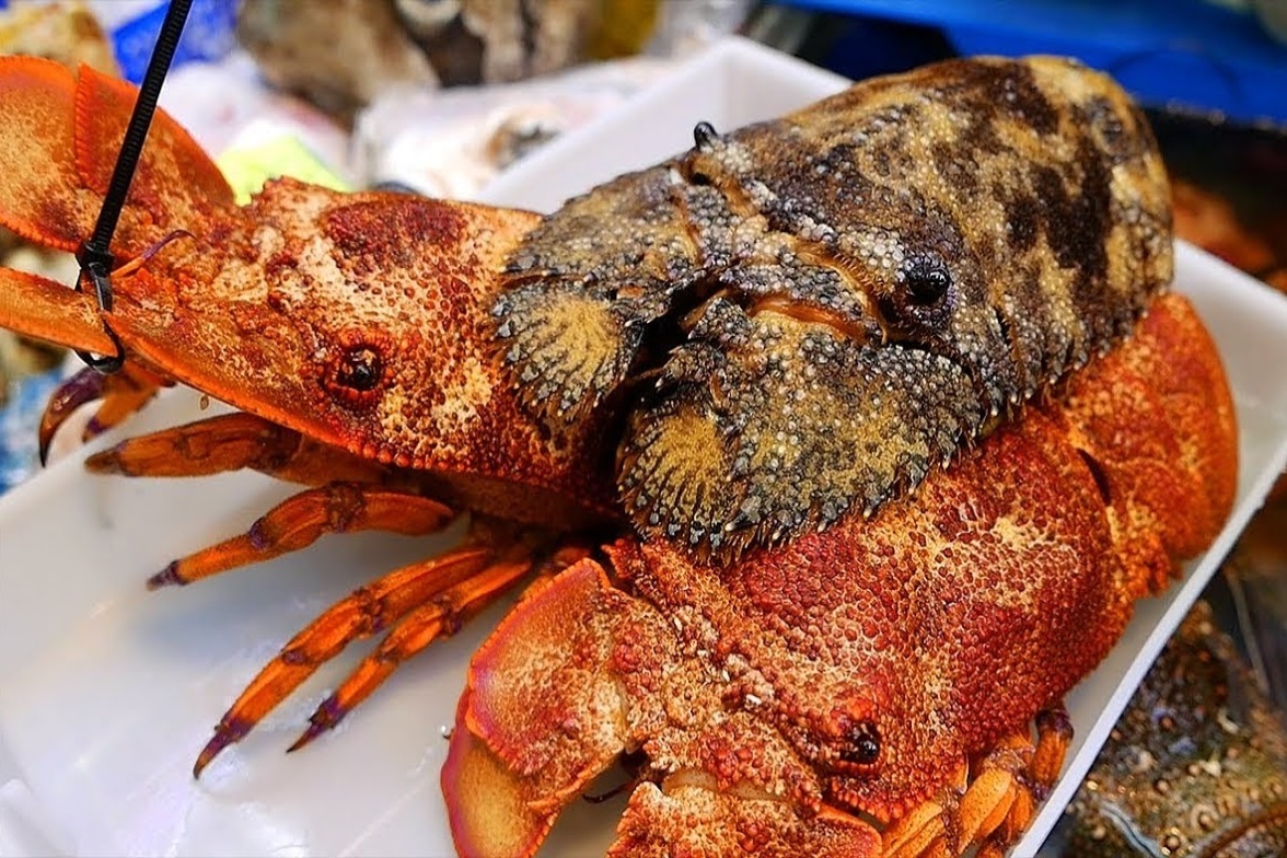 Nguoi Nhat so che tom mu ni do lam sashimi hinh anh