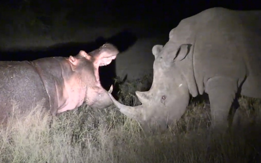 Ha ma gay su bi te giac duoi hinh anh