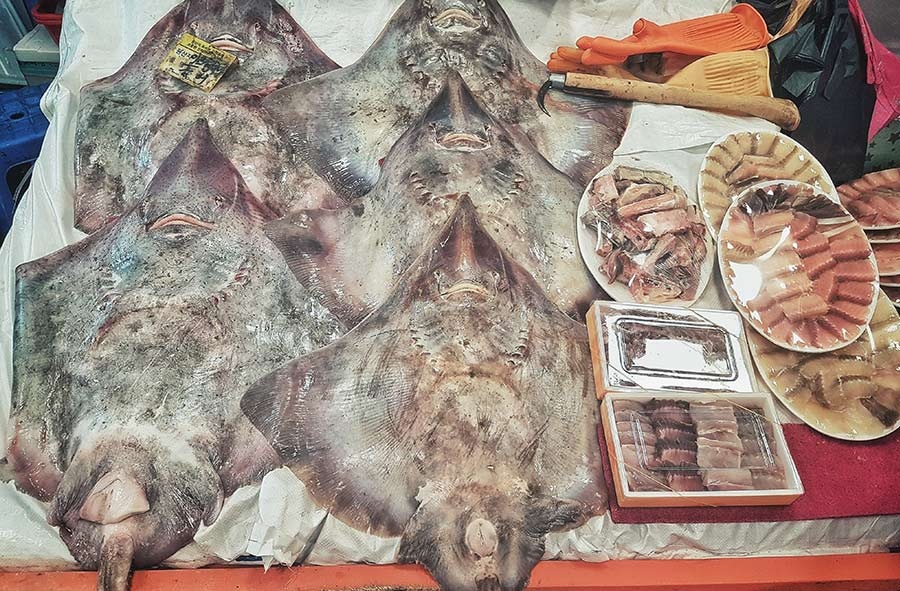 Cá đuối lên men hongeo-hoe ảnh 3 Ca duoi len men hongeo-hoe anh 3