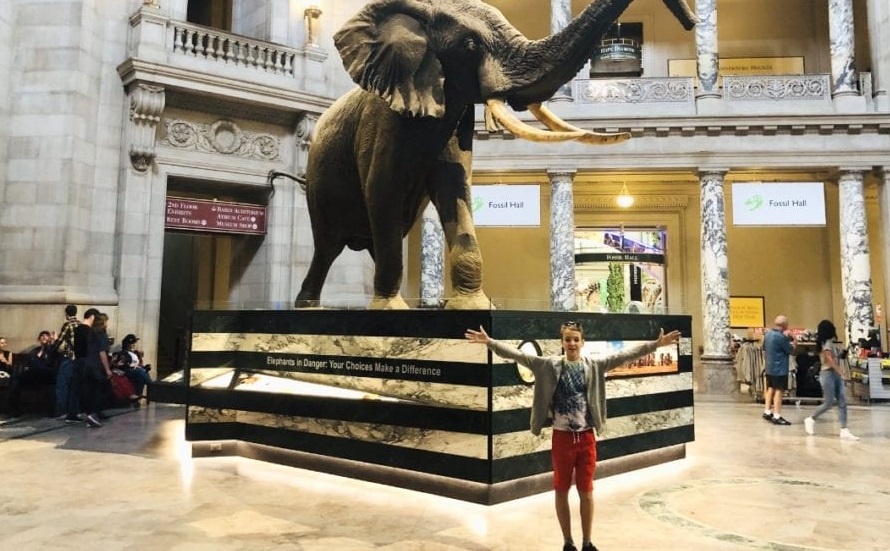 Cac chuyen tham quan bao tang ao khi ban khong the ra khoi nha hinh anh