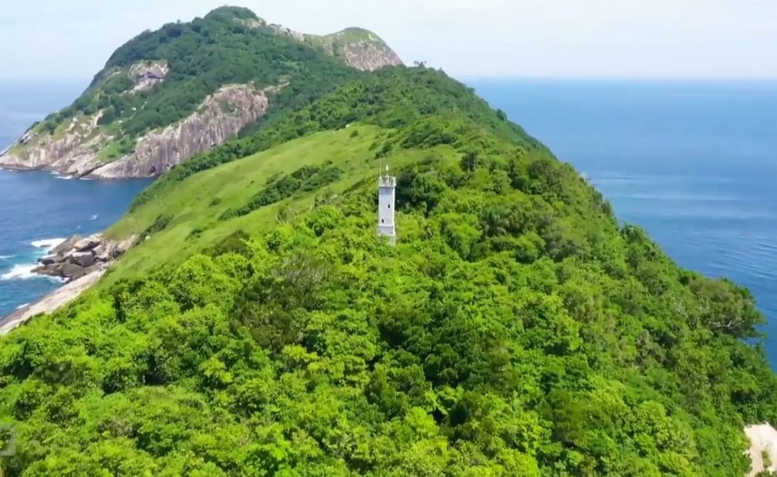 Đảo rắn Brazil ảnh 4 Dao ran Brazil anh 4