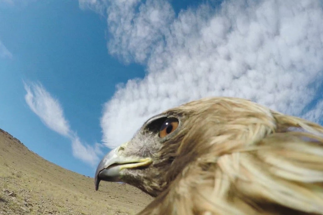 Ngam canh quan the gioi duoi goc may cua dai bang hinh anh