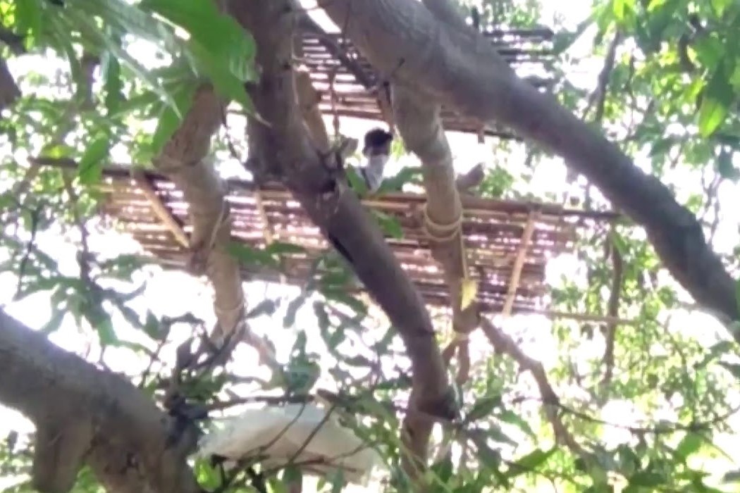 Nguoi dan An Do cach ly o tren cay hinh anh