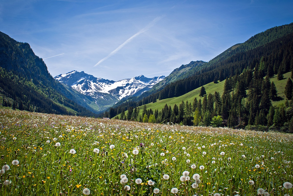 Quoc gia it dan nhat the gioi anh 8