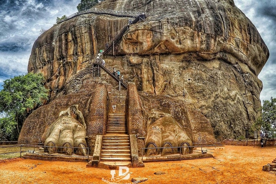 Nui su tu kich thuoc lon, hon 1.500 nam tuoi hinh anh