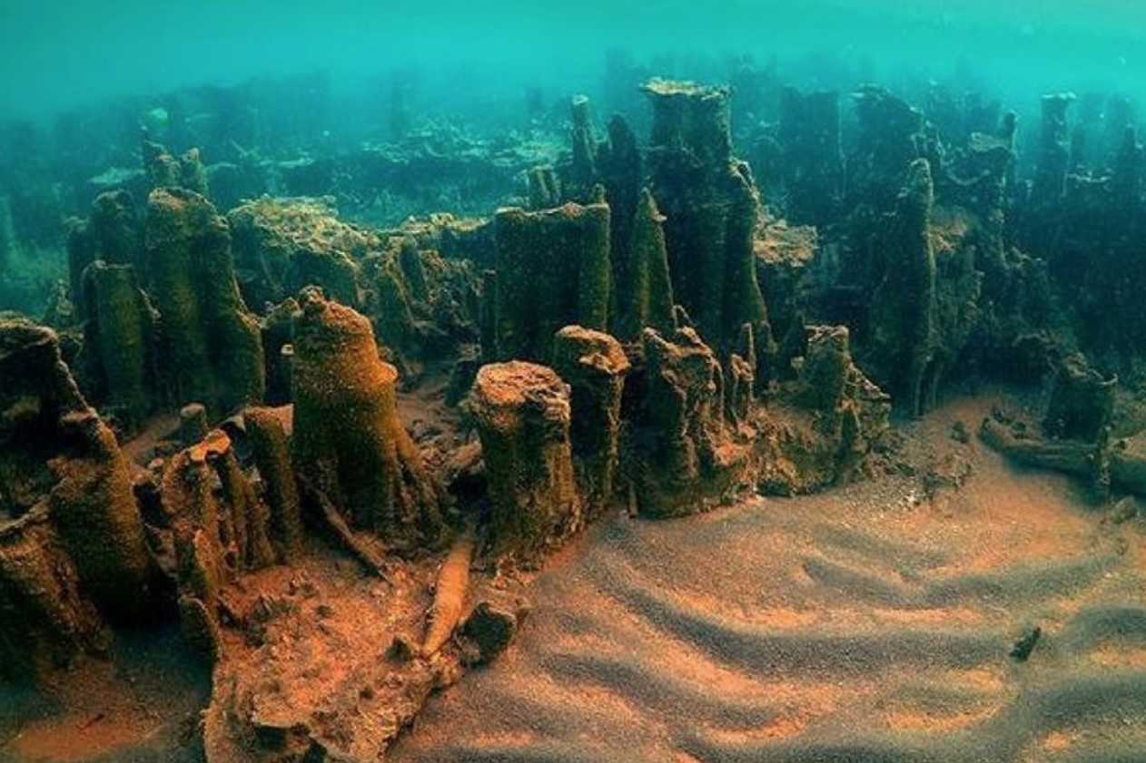 Phao dai 3.000 nam tuoi bi lang quen duoi ho nuoc hinh anh