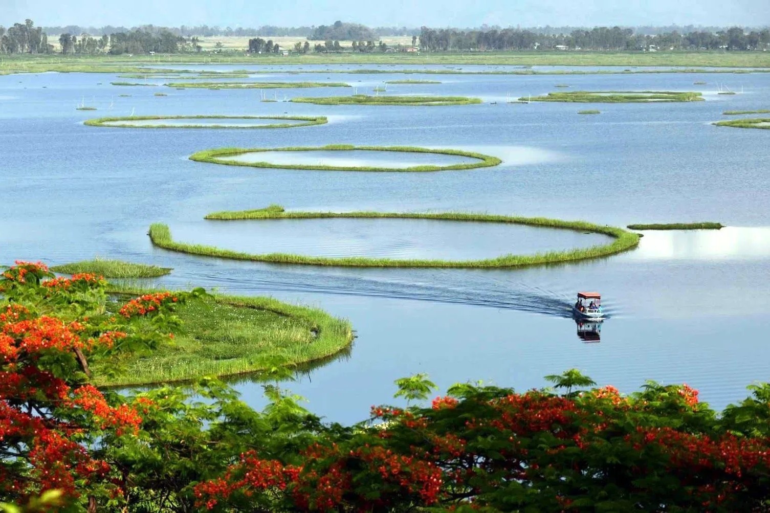 Vuon quoc gia noi tren mat nuoc duy nhat the gioi hinh anh