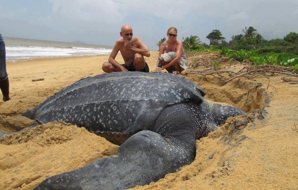 10 diem du lich ngam cac loai dong thuc vat lon nhat Trai Dat hinh anh