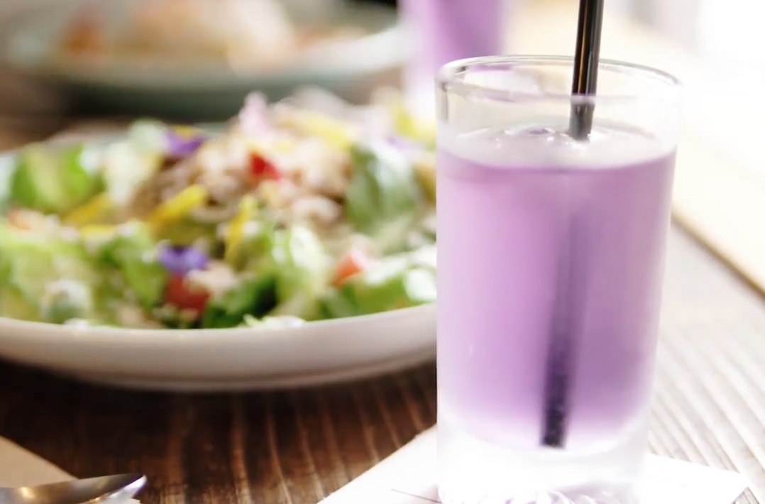 Loai tra hoa co the doi mau truoc mat thuc khach hinh anh