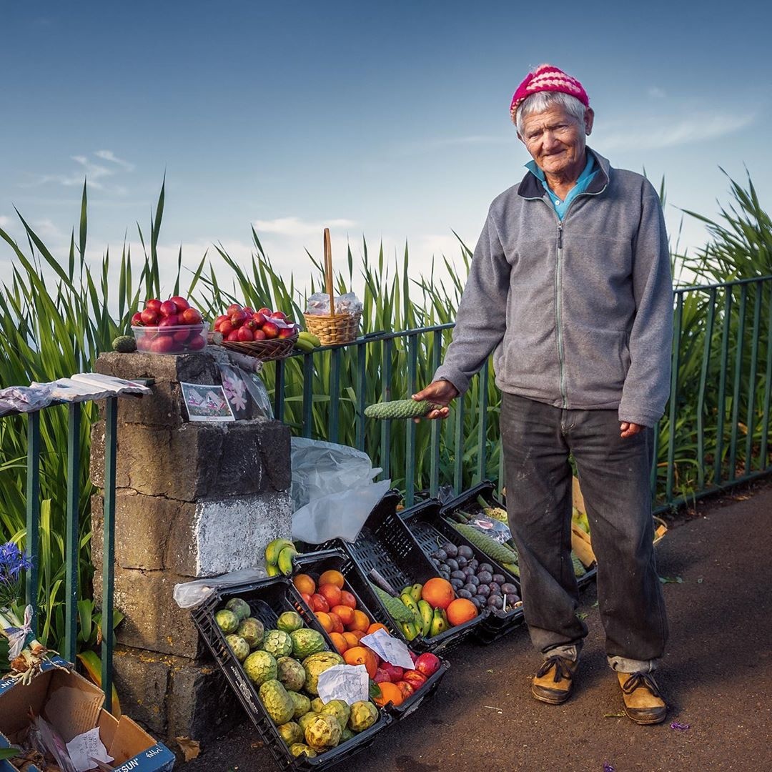 Monstera deliciosa ảnh 7 Monstera deliciosa anh 7