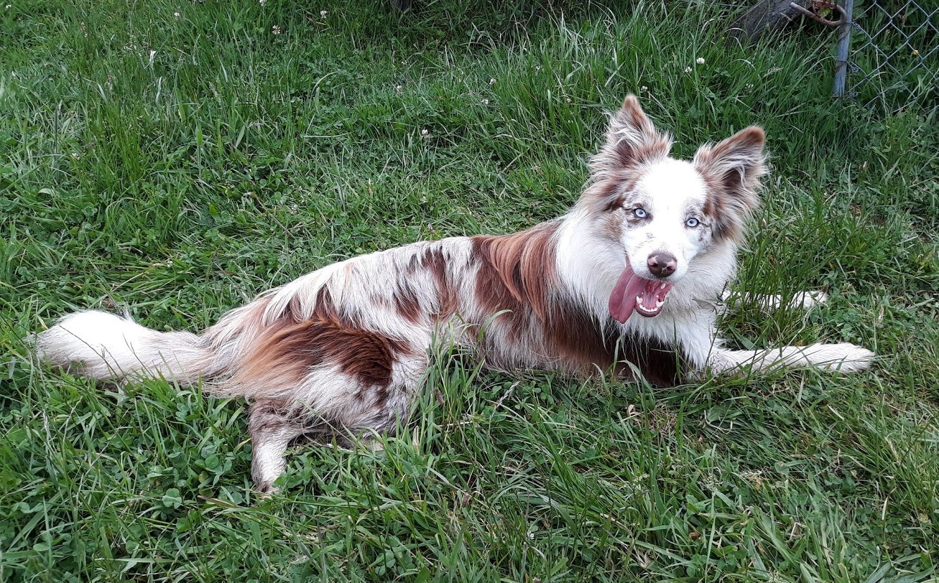 Nhom cam trai giai cuu cho cuu ho mac ket tren vach da hinh anh