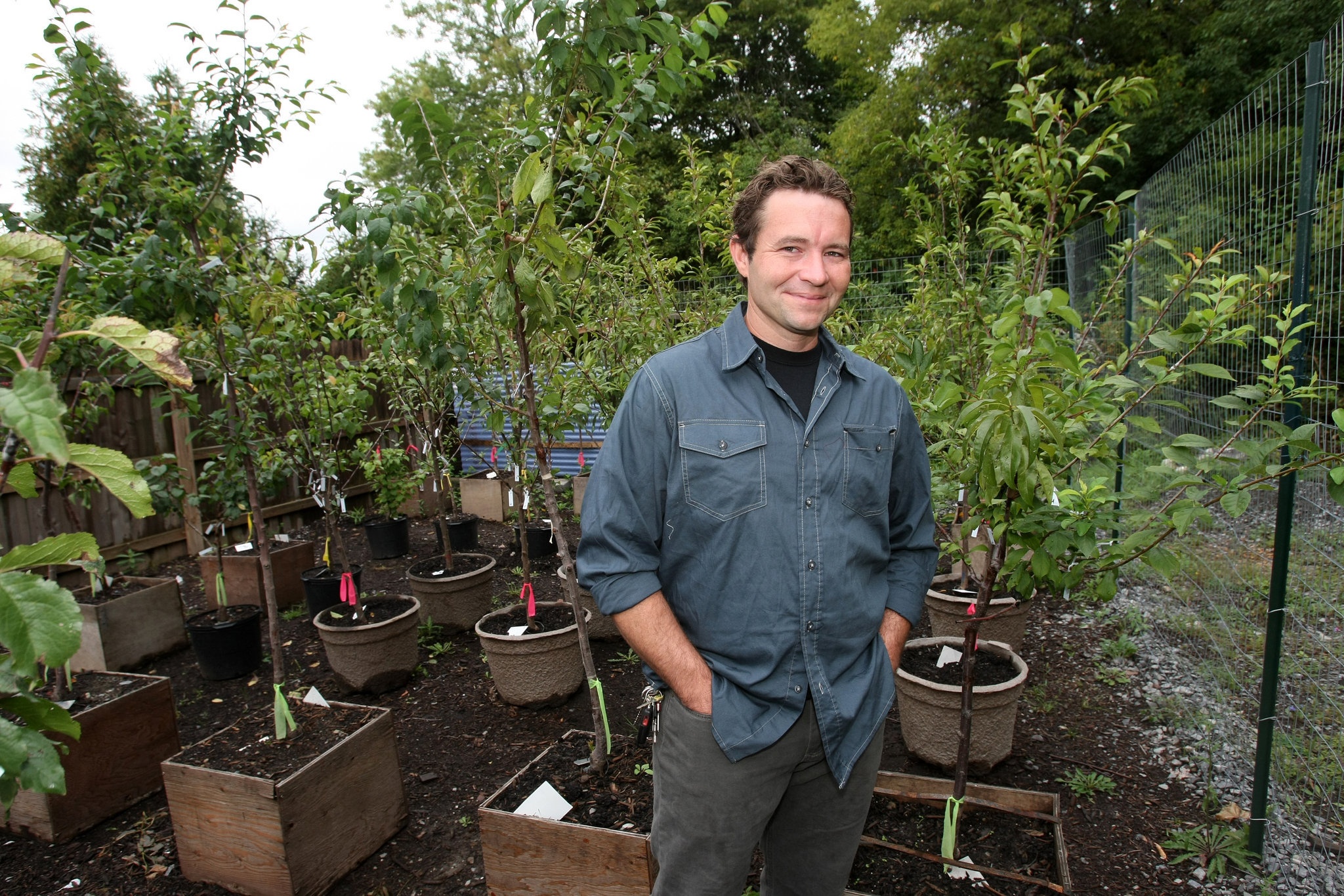 Cay tao 40 loai qua anh 1