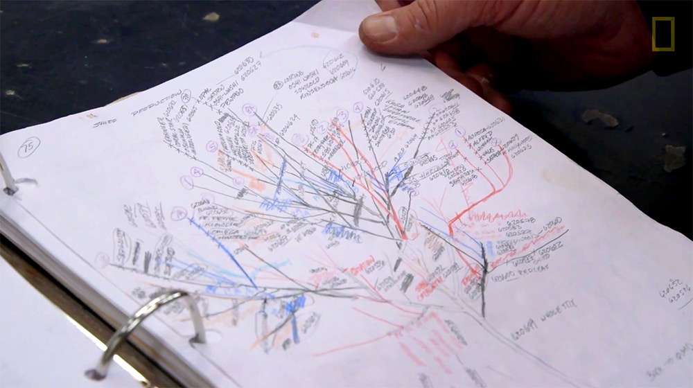 Cay tao 40 loai qua anh 9