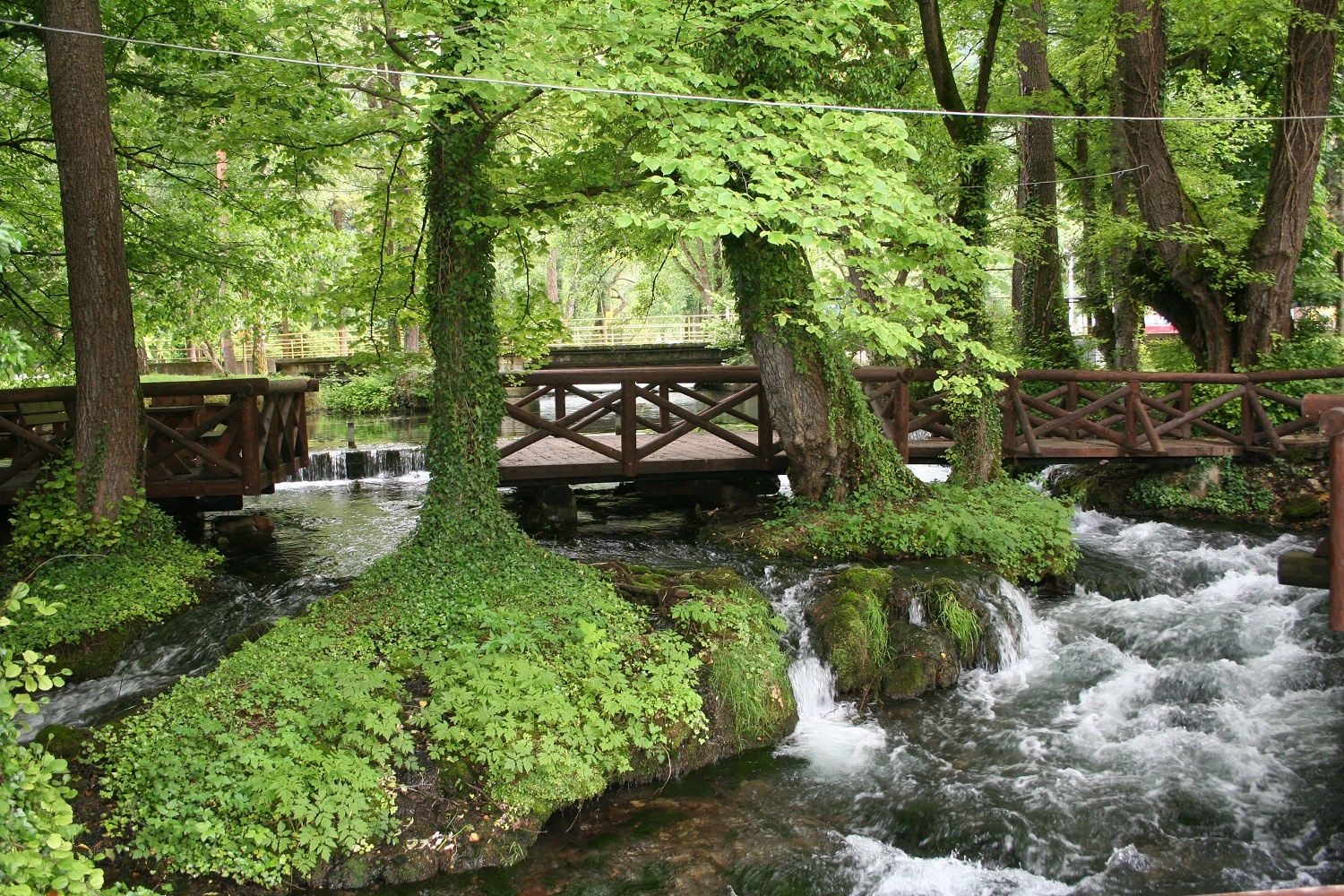 Dong song ngan nhat the gioi anh 7