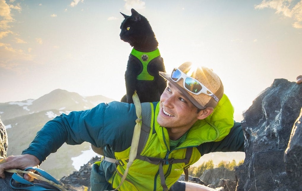 Meo phieu luu mao hiem khap the gioi cung chu hinh anh