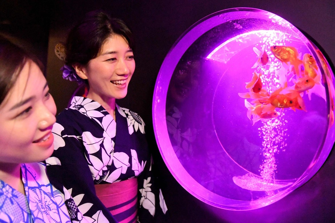 Trien lam nghe thuat 30.000 con ca o Nhat Ban hinh anh