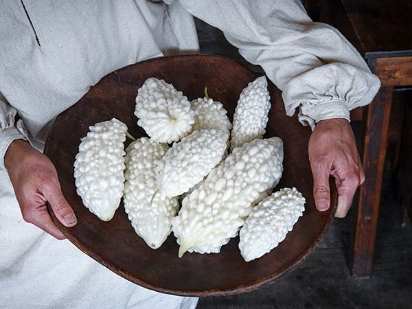 Muop dang mau trang anh 5