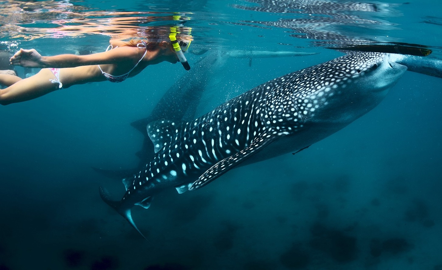 Hon dao noi tieng hut khach den Philippines hinh anh