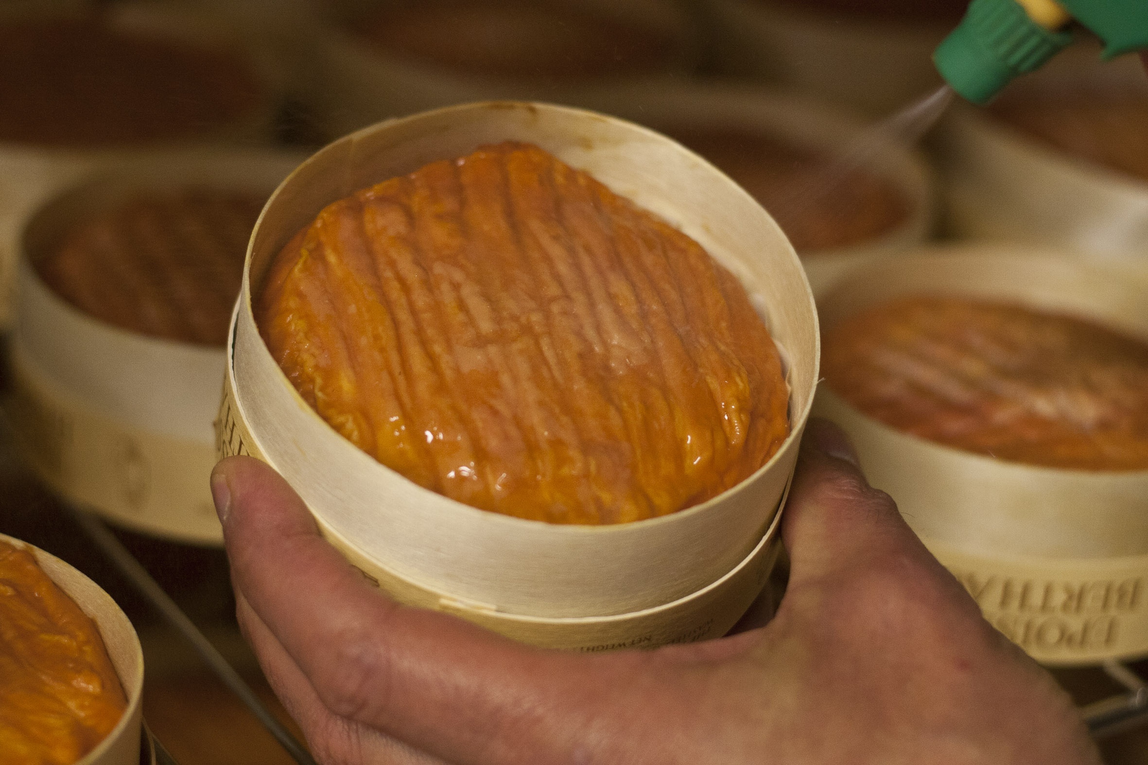 Epoisses de Bourgogne anh 2